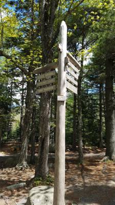 We took a hike around Eagle Lake in Acadia.  Utilized the carriage trails for part of it.  At one point we got off the b