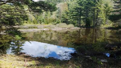 We took a hike around Eagle Lake in Acadia.  Utilized the carriage trails for part of it.  At one point we got off the b
