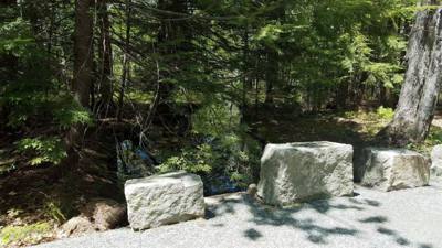 We took a hike around Eagle Lake in Acadia.  Utilized the carriage trails for part of it.  At one point we got off the b