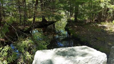 We took a hike around Eagle Lake in Acadia.  Utilized the carriage trails for part of it.  At one point we got off the b