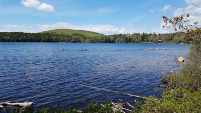 We took a hike around Eagle Lake in Acadia.  Utilized the carriage trails for part of it.  At one point we got off the b