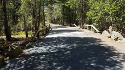 We took a hike around Eagle Lake in Acadia.  Utilized the carriage trails for part of it.  At one point we got off the b