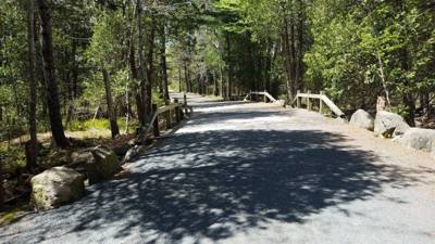 We took a hike around Eagle Lake in Acadia.  Utilized the carriage trails for part of it.  At one point we got off the b