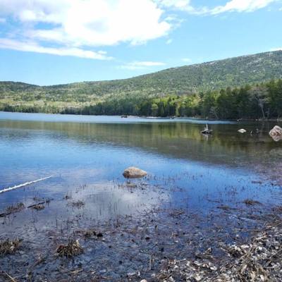 We took a hike around Eagle Lake in Acadia.  Utilized the carriage trails for part of it.  At one point we got off the b