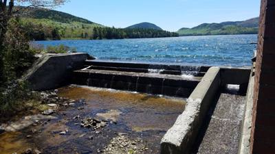 We took a hike around Eagle Lake in Acadia.  Utilized the carriage trails for part of it.  At one point we got off the b