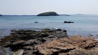 Went to Shore Path down in Bar Harbor this morning before browsing the shopping area of town.  Short relaxed walk, nicel