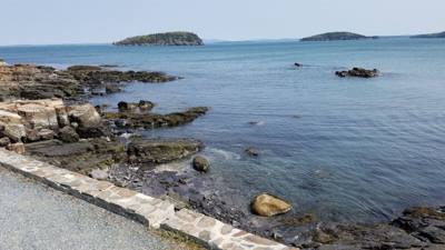 Went to Shore Path down in Bar Harbor this morning before browsing the shopping area of town.  Short relaxed walk, nicel