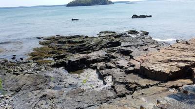 Went to Shore Path down in Bar Harbor this morning before browsing the shopping area of town.  Short relaxed walk, nicel