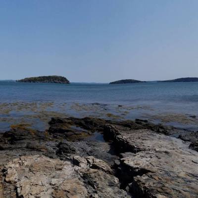 Went to Shore Path down in Bar Harbor this morning before browsing the shopping area of town.  Short relaxed walk, nicel