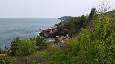 Tonight before dinner we went for a walk along Ocean Path.  This is by Sand Beach in Acadia.  Beautiful walk along the c