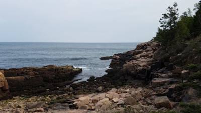 Tonight before dinner we went for a walk along Ocean Path.  This is by Sand Beach in Acadia.  Beautiful walk along the c