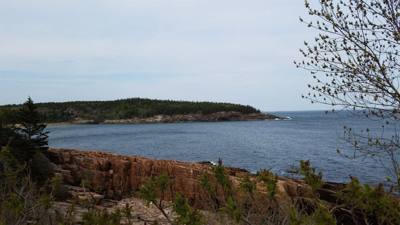 Tonight before dinner we went for a walk along Ocean Path.  This is by Sand Beach in Acadia.  Beautiful walk along the c