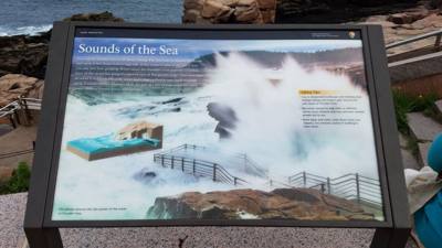Tonight before dinner we went for a walk along Ocean Path.  This is by Sand Beach in Acadia.  Beautiful walk along the c