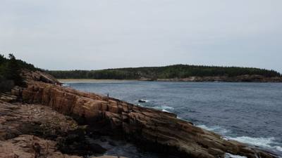 Tonight before dinner we went for a walk along Ocean Path.  This is by Sand Beach in Acadia.  Beautiful walk along the c