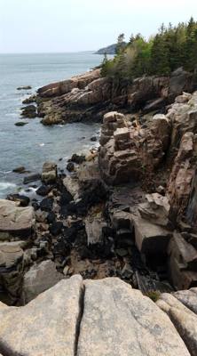 Tonight before dinner we went for a walk along Ocean Path.  This is by Sand Beach in Acadia.  Beautiful walk along the c