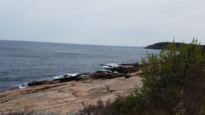 Tonight before dinner we went for a walk along Ocean Path.  This is by Sand Beach in Acadia.  Beautiful walk along the c