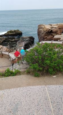 Tonight before dinner we went for a walk along Ocean Path.  This is by Sand Beach in Acadia.  Beautiful walk along the c