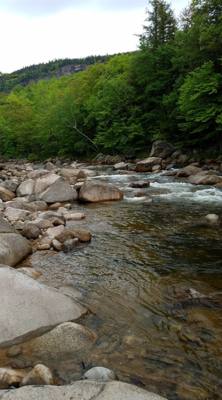 Welcome to the White Mountains!  Really beautiful.  I forgot what rivers that don't look like chocolate milk look like. 
