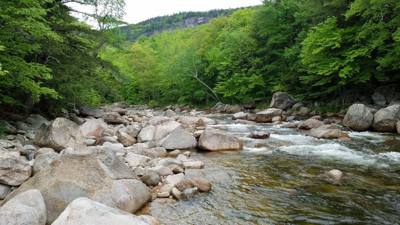 Welcome to the White Mountains!  Really beautiful.  I forgot what rivers that don't look like chocolate milk look like. 