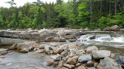 Welcome to the White Mountains!  Really beautiful.  I forgot what rivers that don't look like chocolate milk look like. 