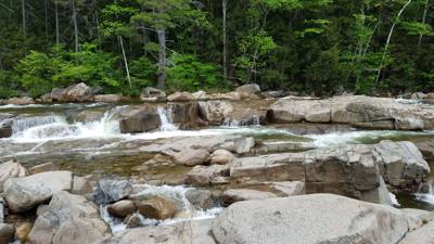 Welcome to the White Mountains!  Really beautiful.  I forgot what rivers that don't look like chocolate milk look like. 