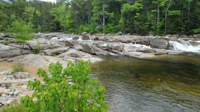 Welcome to the White Mountains!  Really beautiful.  I forgot what rivers that don't look like chocolate milk look like. 