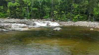 Welcome to the White Mountains!  Really beautiful.  I forgot what rivers that don't look like chocolate milk look like. 