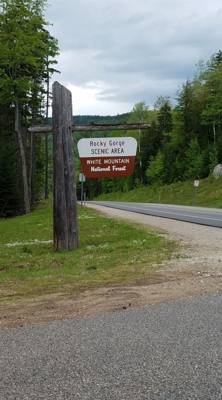 Welcome to the White Mountains!  Really beautiful.  I forgot what rivers that don't look like chocolate milk look like. 