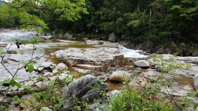 Welcome to the White Mountains!  Really beautiful.  I forgot what rivers that don't look like chocolate milk look like. 