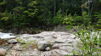 Welcome to the White Mountains!  Really beautiful.  I forgot what rivers that don't look like chocolate milk look like. 