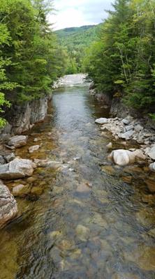 Welcome to the White Mountains!  Really beautiful.  I forgot what rivers that don't look like chocolate milk look like. 