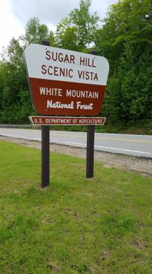 Welcome to the White Mountains!  Really beautiful.  I forgot what rivers that don't look like chocolate milk look like. 