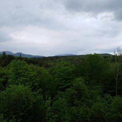 Welcome to the White Mountains!  Really beautiful.  I forgot what rivers that don't look like chocolate milk look like. 