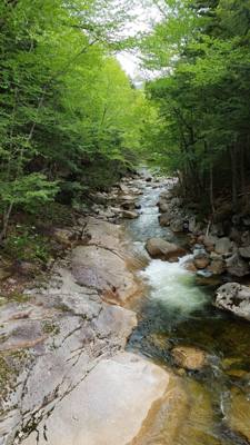 Hike up Flume Gorge in White Mountain National Park today.  Great hike with lots of waterfalls.  Couldn't have asked for