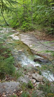 Hike up Flume Gorge in White Mountain National Park today.  Great hike with lots of waterfalls.  Couldn't have asked for
