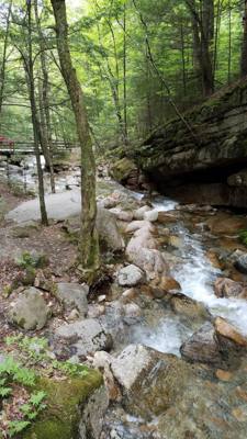 Hike up Flume Gorge in White Mountain National Park today.  Great hike with lots of waterfalls.  Couldn't have asked for