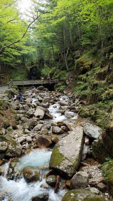Hike up Flume Gorge in White Mountain National Park today.  Great hike with lots of waterfalls.  Couldn't have asked for