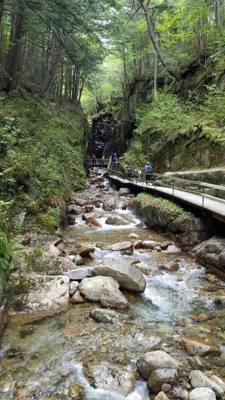Hike up Flume Gorge in White Mountain National Park today.  Great hike with lots of waterfalls.  Couldn't have asked for