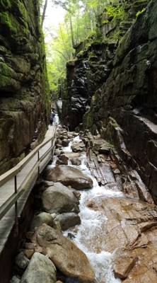 Hike up Flume Gorge in White Mountain National Park today.  Great hike with lots of waterfalls.  Couldn't have asked for