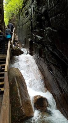 Hike up Flume Gorge in White Mountain National Park today.  Great hike with lots of waterfalls.  Couldn't have asked for