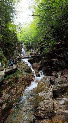 Hike up Flume Gorge in White Mountain National Park today.  Great hike with lots of waterfalls.  Couldn't have asked for