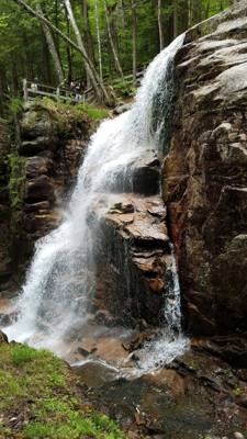 Hike up Flume Gorge in White Mountain National Park today.  Great hike with lots of waterfalls.  Couldn't have asked for