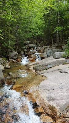 Hike up Flume Gorge in White Mountain National Park today.  Great hike with lots of waterfalls.  Couldn't have asked for