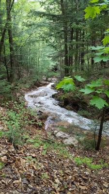 Hike up Flume Gorge in White Mountain National Park today.  Great hike with lots of waterfalls.  Couldn't have asked for