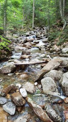 Hike up Flume Gorge in White Mountain National Park today.  Great hike with lots of waterfalls.  Couldn't have asked for