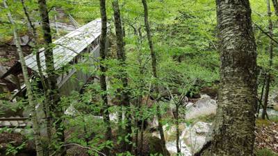 Hike up Flume Gorge in White Mountain National Park today.  Great hike with lots of waterfalls.  Couldn't have asked for