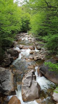 Hike up Flume Gorge in White Mountain National Park today.  Great hike with lots of waterfalls.  Couldn't have asked for