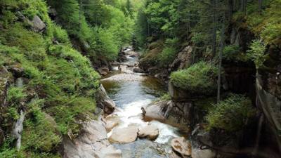 Hike up Flume Gorge in White Mountain National Park today.  Great hike with lots of waterfalls.  Couldn't have asked for