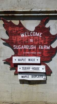 On the way to Mystic, CT Julie and I stopped at Sugarbush Farms.  You can't be in Vermont and not learn about maple syru