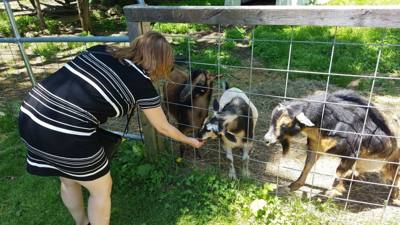 On the way to Mystic, CT Julie and I stopped at Sugarbush Farms.  You can't be in Vermont and not learn about maple syru